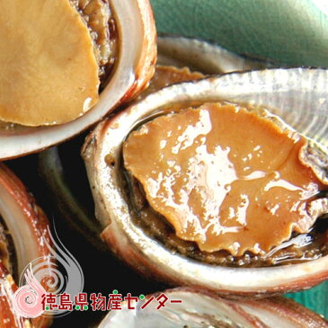 貝付「流子」味付缶詰5缶化粧箱入(とこぶし)お中元/お歳暮