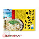 鳴ちゅるうどん二人前（徳島県鳴門市のご当地うどん）