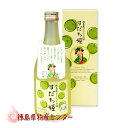 すだち姫500ml【徳島の地酒】スダチを使ったリキュール 日新酒類