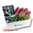 【新芋入荷 7月末より順次発送】送料無料 徳島特産直送便(すだち&鳴門わかめ&なると金時さつまいも)ギフト/贈答品/お中元/お歳暮/敬老の日/暑中御見舞/残暑御見舞/御中元
