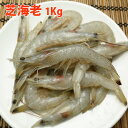 芝海老 1Kg 140尾程