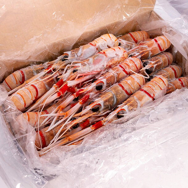 スカンピG3 2Kg箱入り(約57g/尾 約35尾入り)のサムネイル