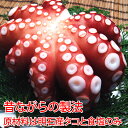 【2025年水揚げ】金楠・明石のゆでだこ 500g台