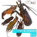 スープ/出汁用国産伊勢海老 約1Kg ブイヤベース,パエリア,シーフード,リゾット,味噌汁等に,spiny lobster,ロブスター,いせえび