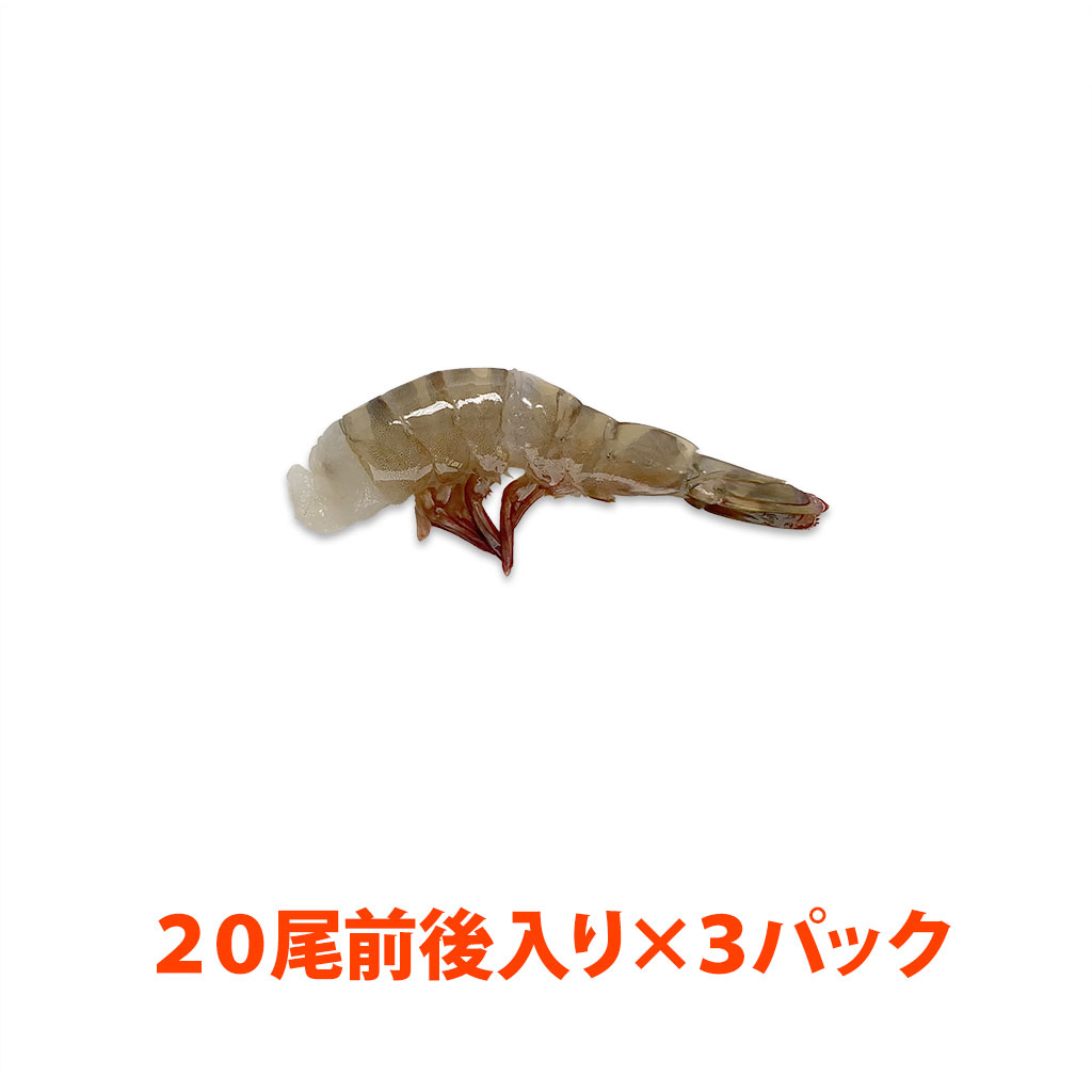 天然・無頭フラワーエビ(規格:41/50) 約10g/尾 約20尾×3パック
