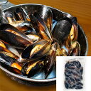 ボイル殻付ムール貝「インパクト(大サイズ)」15~20粒入り 500g