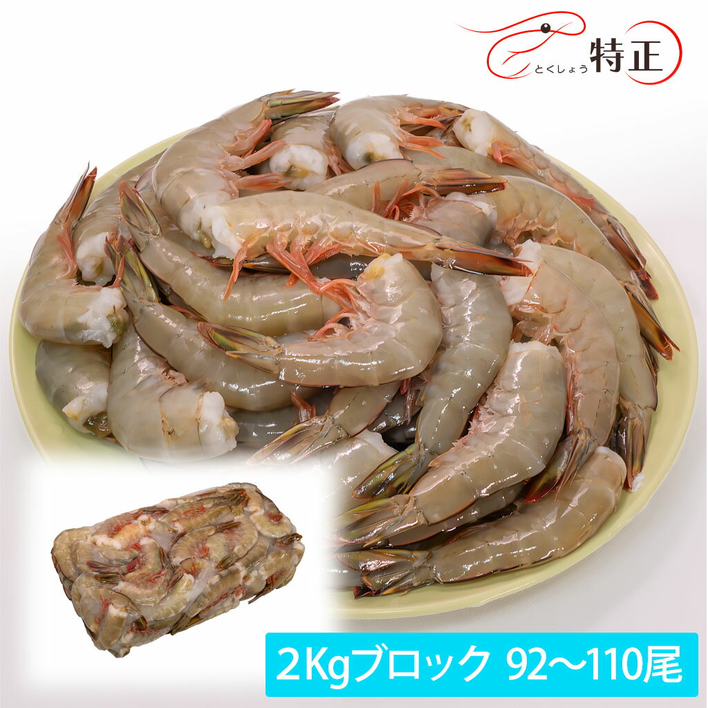 ŷ̵źá̵Ƭۥ磻ȥ 20g/ 92110 ե