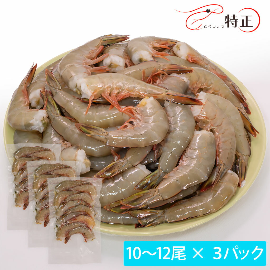 ŷ̵źá̵Ƭۥ磻ȥ 20g/ 1012ѥå3ѥå ʬ