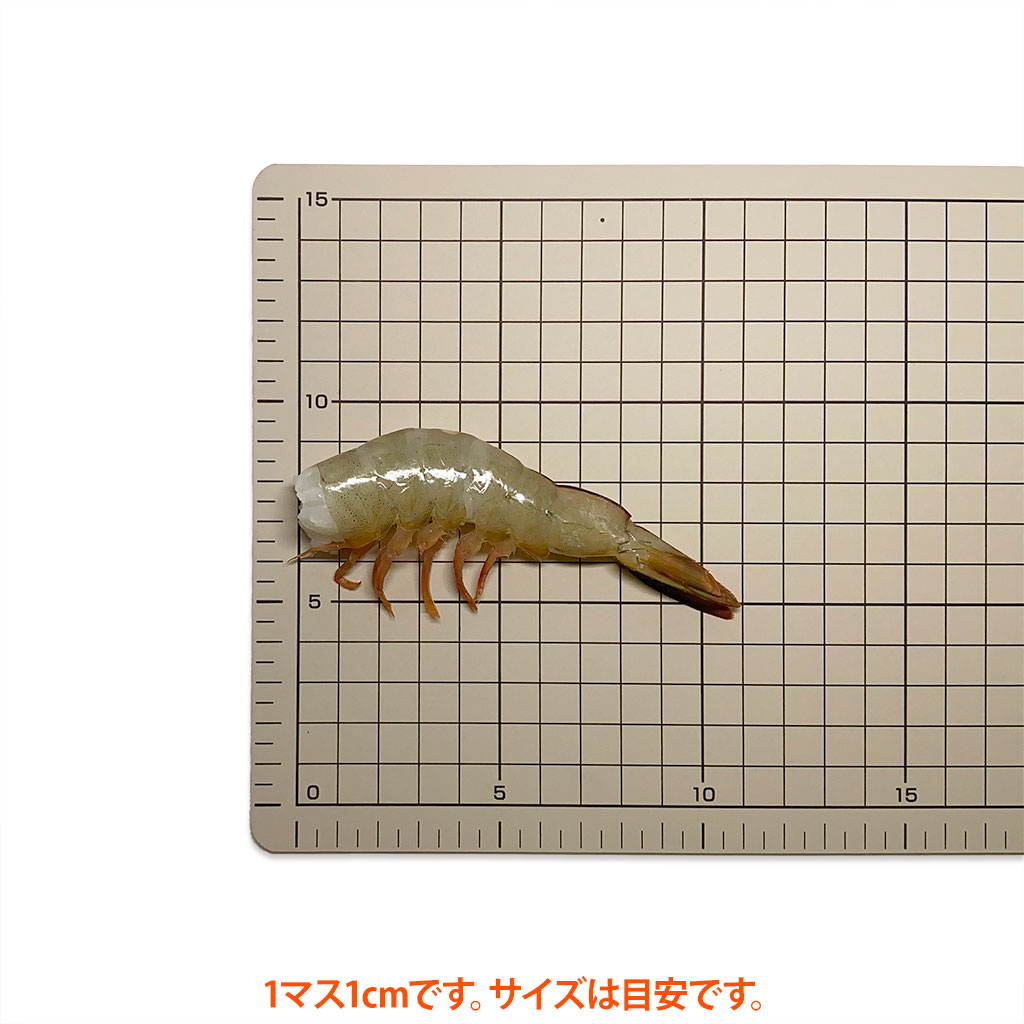 天然・無添加・無頭ホワイトエビ 約20g/尾 10〜12尾 小分け冷凍品