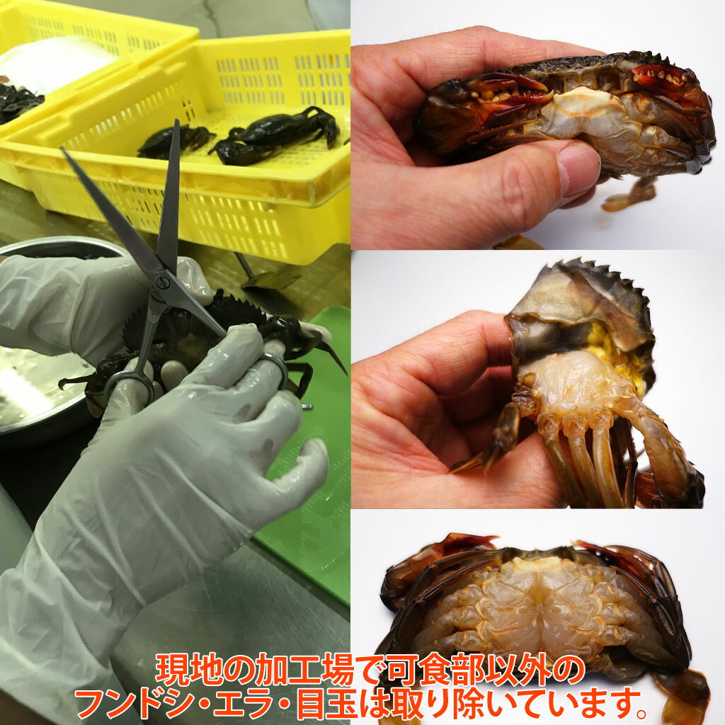 めちゃうま！しじみ 小100g 10パック真空パック(国産)