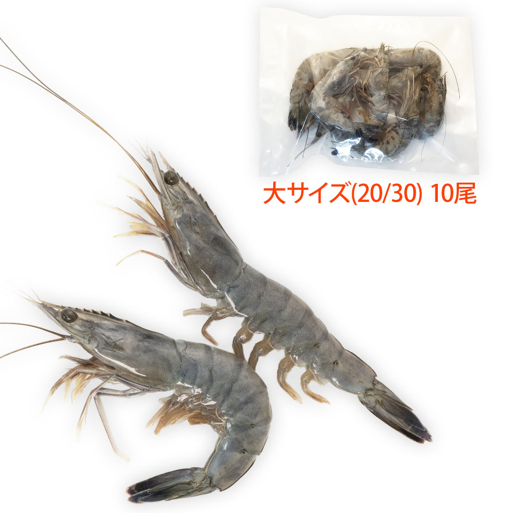 ŷȤγϷ 祵10ʬ(:20/30)