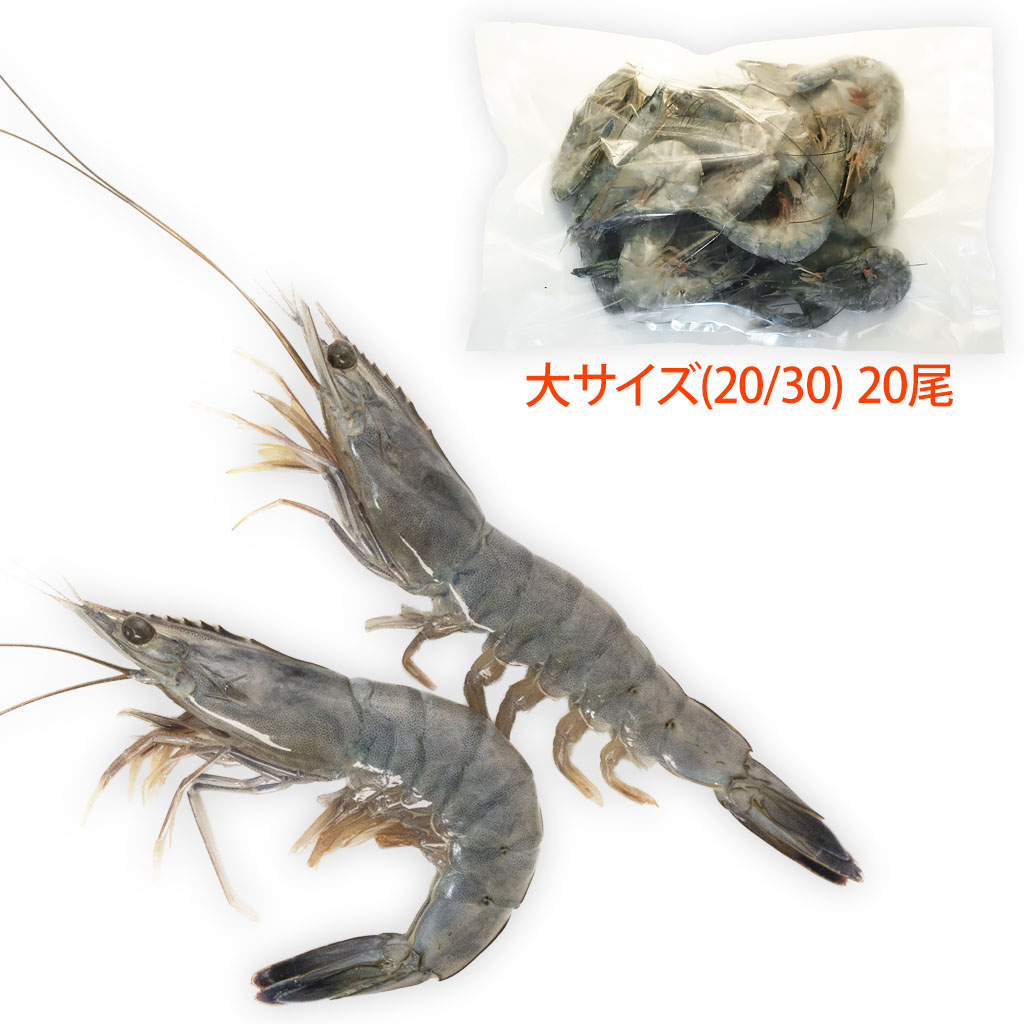 ŷȤγϷ 祵20ʬ(:20/30)