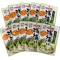 ダイショー きざみ昆布入り 浅漬けの素 2回分 18g（9g×2袋）×10袋 漬物 簡単 あっさり 塩味