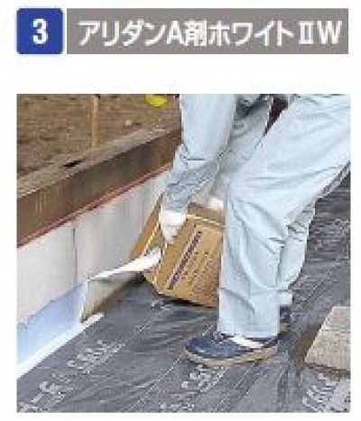 1 ARAW10L Aޥۥ磻II W 10 ɵ եӲع Բġ