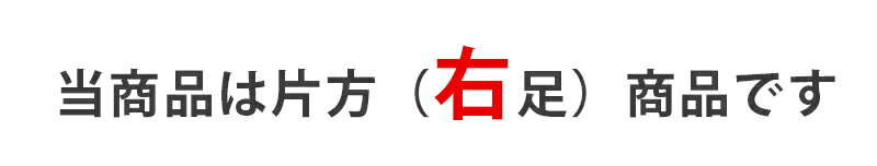 アウトレット 在庫限り あゆみシューズ公式 EASYケアサポート 5E 片方販売 右足のみ 7050 施設用 イージーケアサポート