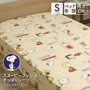 西川 スヌーピー すっぽりシーツ シングルサイズ 100×200×30cm SNOOPY ボックスシーツ 敷布団カバー 兼用シーツ シングルのベッドマットレス・シングルロングの敷布団用 可愛い かわいい 洗える チャーリーブラウン ウッドストック フレンズ柄