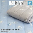 接触冷感敷きパッド シングルサイズ 約100×200cm Q-max値0.33 ひんやり クール 弱冷感 敷パッド 薄手 速乾 春夏用 アザラシ柄 可愛い かわいい オシャレ おしゃれ DSS-254 2025SS(3)