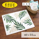 乾度良好パームリーフ バスマット 約40cm×55cm ( バスマット マット 脱衣所 おしゃれ 吸水 速乾 丸洗い シンプル 洗面所 洗面マット 葉 ボタニカ...