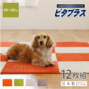 ピタプラスPET 約60cm×60cm 同色12枚組 ( ジョイントマット タイルマット マット ラグ カーペット おしゃれ 吸着 滑り止め 洗える ペット 犬...