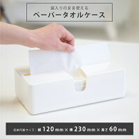 袋のまま使える!取り出しやすいペーパータオルケース(ペーパータオルホルダー ペーパータオルケース ティッシュペーパー ティッシュケース 置き型 トイレ リビング キッチン 来客用 業務用 シンプル おしゃれ ティッシュボックス 花粉症 風邪 オカ)