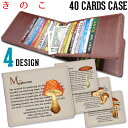 【きのこ】 40枚 入る カードケース大容量 女性 カード入れ コンパクト 薄型 ポイントカード アンティーク 薄い たくさん クレジットカード【メール便OK】