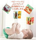 cesa beams えほん 布えん 布絵本 おもちゃ 赤ちゃん ベビーグッズ 1歳 2歳 3歳 知育絵本 英語のお勉強 マイクワイエット ソフトブック ベビー向け 幼児ぬの絵本 ぬのえほん 出産祝い 贈り物 ギフト 出産祝い 絵本 セット 布えほん・布おもちゃ