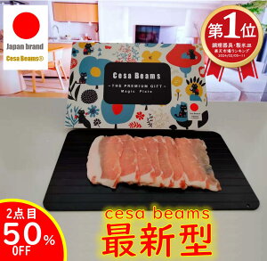 数量限定1点目20％オフ　cesa beams　テレ東で紹介された　2個目50％OFF　最新モデル 3.2mm正規品　解凍プレート 急速解凍　冷解食品解凍　家庭用 自然解凍 急速 解凍 冷凍食品対応　業務用 解凍プレート　まな板 粗熱　解凍プレート 最速　かっぱ橋　カトラリー