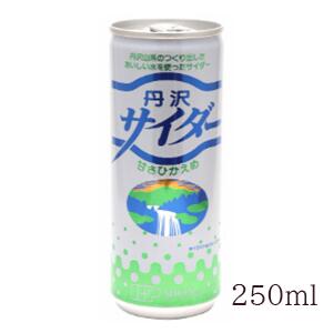 エントリーでポイント10倍！創健社 丹沢サイダー 250ml 　美味しい水のサイダー