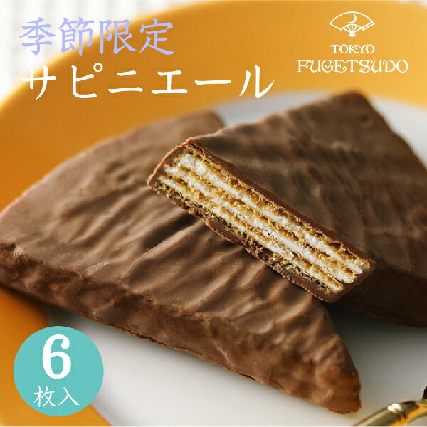 冬季限定 チョコレート ギフト プチギフト スイーツ お菓子 プレゼント 詰め合わせ 個包装東京風月堂 サピニエール6枚入セット 洋菓子 焼き菓子 入学祝い 卒業祝い