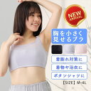 \ 新商品 / 胸を小さく見せるブラ 胸をちいさく見せる 着やせすっきり ブラジャー ノンワイヤー ブラ フルカップ 谷間カバー 脇高 大きいサイズ 速乾 着痩せ M L LL 3L 4L 20代 30代 40代 50代 レディース インナー