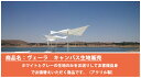 【張替用キャンバス生地単品販売】イタリアScolaro社/ヴェーラ※キャンバス生地(ホワイトもしくはグレー)のみご提供となります。ドイツ・Dralon社製のアクリル生地