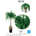 リフェイクグリーン 「ノリナ」H1200mm 専用鉢H190 φ220 ウレタン充填 品番:A70TN162 屋内用【植物、人工植物、人工樹木、ノリナ、グローベン社】