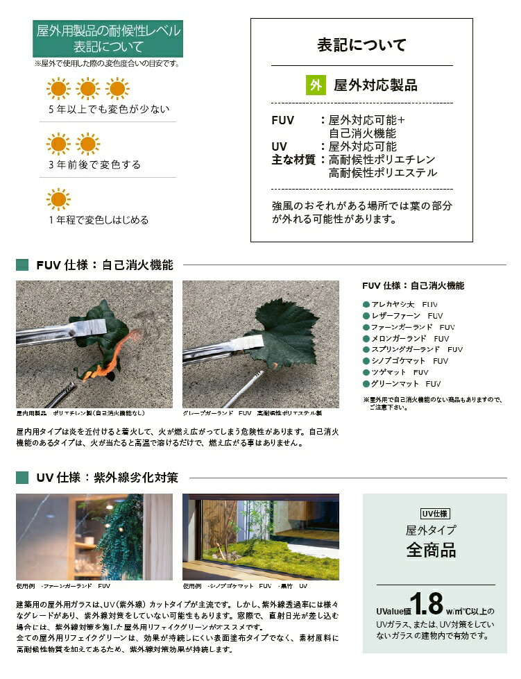 リフェイクグリーン 「コニファ エメラルド UV」H2100mm/専用鉢：H245、Φ290、コン...
