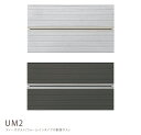 【メンテナンス用品プレゼント中】UM2(ディーズポスト ウオールインタイプ-UMタイプシリーズ)【ディーズガーデン正規販売代理店 郵便受け 大容量の埋め込み型郵便ポスト】