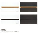 【メンテナンス用品プレゼント中】UM3(ディーズポスト ウオールインタイプ-UMタイプシリーズ)【ディーズガーデン正規販売代理店 郵便受け 大容量の埋め込み型郵...