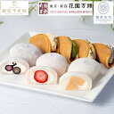 お買い物マラソン開催中ポイント10倍〜 父の日 焼き菓子 どらやき どら焼き プレセント ギフト 天保5年創業 東京新宿 代表銘菓 花園万頭 銀座フルーツ大福×...