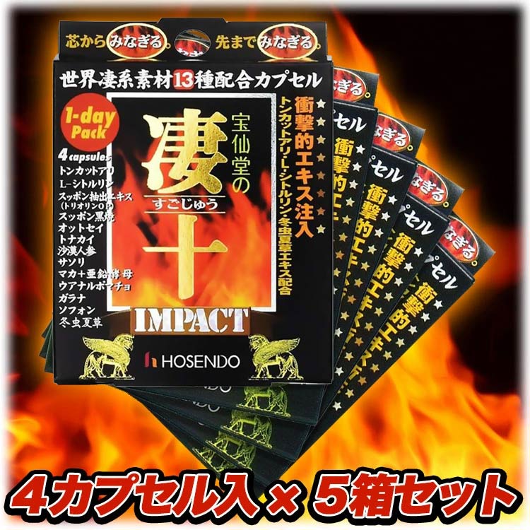 【メーカー希望小売価格より25％OFF】宝仙堂 凄十 IMPACT 1-dayパック 1DAYパック ...