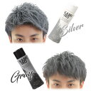 【メーカー希望小売価格より21％OFF】ヘアカラーワックス カミイロ KAMIIRO ヘアワックス カラーワックス ヘアカラー シルバー グレー 銀髪 灰髪 シルバーヘア グレーヘア メッシュ セット 整髪 メンズ 送料無料