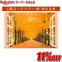 【RakutenスーパーSALE★通常価格より11%OFF】お風呂のポスター 銀杏並木 秋