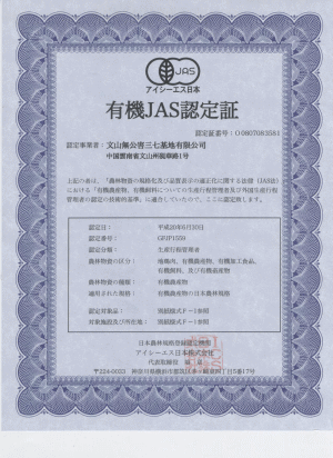 特典付き　白井田七。240粒【持ち運び用サンプル4粒×1袋付】体の中の流れを±0に。...