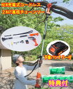 【オマケ付き!】ファミラ充電式コードレス2WAY高枝チェーンソー 8点セット+予備バッテリー付 ファミラ 洗剤JOE30g×3個特典付 ハンディチェーンソー(4)