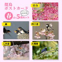 商品情報商品説明東京新聞人気連載「探鳥」写真のポストカード5枚セットです。ポストカードとしてご使用の際は、宛名面の右上に切手を貼ってお使いください。商品仕様ポストカード5枚セット【サイズ】横105×150mm【入数】5種類 各1枚入　(それぞれOPP袋入)モニターの発色具合により、実際の商品と色が異なる場合がございます 堀内カメラマンについて堀内洋助プロフィール　　1954年愛媛県松山市生まれ。元中日新聞東京本社(東京新聞)写真部勤務。92年、写真企画「渡良瀬有情」取材班で新聞協会賞を受賞。本紙に「探鳥」を23年間連載。著書は「野鳥　観る撮るハンドブック」等。現在は松山市で主に四国の野鳥と絶景を撮影している。探鳥ポストカード ≪春≫ 5枚セット はがきセット 送料込み 5種類 野鳥 写真 はがき 葉書 花 桜 メジロ ツバメ ひな ヒナ シジュウカラ スズメ オオルリ 大瑠璃 東京新聞 堀内洋助 東京新聞人気連載「探鳥」のポストカードを、季節ごとのセットにしました。大切な人への季節のごあいさつに、お気に入りの額縁に入れて。かわいい野鳥にいやされます。 かわいい野鳥のポストカードが5種類 ≪春≫ [ 野鳥の種類 ]満開のカンヒザクラで蜜を求めるメジロ大きく口を開けたツバメのひな花を一輪くわえてポーズをとるシジュウカラ桜の蜜を求めるニュウナイスズメ小枝に止まるオオルリポストカード5枚セット【サイズ】横105×150mm【入数】5種類 各1枚入　(それぞれOPP袋入) 雪のような透き通る白さが特徴の高級印刷用紙 柔らかな風合いと暖かみのある豊かな手触り 大切な人への季節のごあいさつに 季節のご挨拶にぴったりなカードをお探しの方 お部屋のちょっとしたディスプレイを楽しみたい方 野鳥の愛らしい姿に癒やされたい方 東京新聞で23年間「探鳥」を連載した堀内洋助カメラマンの写真を使用しています。「絶景」×「野鳥の一瞬」はプロならではのクオリティです。 1〜2日以内に発送予定（店舗休業日を除く） 1