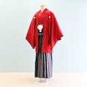 【レンタル】男性用 袴 レンタル 卒業式 結婚式 セット【DH0039】【赤|黒・グレー/縞・格子】羽織袴/紋付袴/メンズ袴