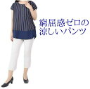 パンツ レディース 涼しい 冷感 レディース 夏パンツ コーデ コーディネート ファッション 30代 40代 50代 カプリパンツ UVカット 紫外線カット 吸...