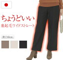 ワイドパンツ 暖かい 裏起毛 レディース 暖パン 日本製 ゆったり あったか 締め付けない あったかい 防寒 秋 冬 太ももゆったり ゴムズボン 着ぶくれしない...
