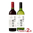 敬老の日 プレゼント ワインセット シャトー勝沼×ニッポンエール コラボ 日本の葡萄酒 赤白 セット 750ml 2本 山梨県産 送料無料(4)