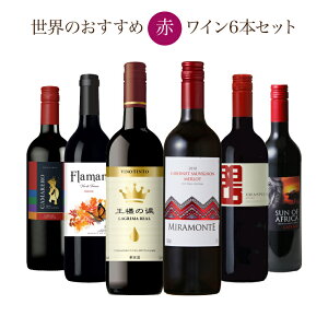 送料無料 ソムリエが選ぶ 世界の赤ワイン セット 750ml×6本 チリ フランス イタリア スペイン 南アフリカ