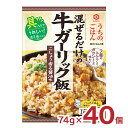 キッコーマン 混ぜご飯 うちのごはん 混ぜごはんの素 牛ガーリック飯 74g 40個 料理の素 送料無料