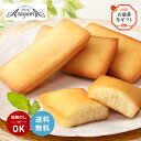 【11/20 20:00〜11/27 1:59 エントリーでP5倍】ギフト お歳暮 2025 シェフ・アサヤマ洋菓子工房 フィナンシェ 12個 YJ-FN スイ...