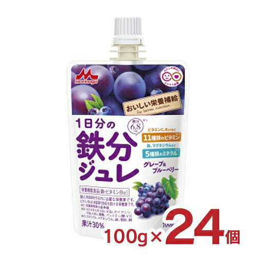 【10/24 20:00〜10/27 9:59 エントリーで全品P5倍】ジュレ 森永 おいしい栄養補給 1日分の鉄分ジュレ グレープ＆ブルーベリー 100g 24個 パウチ おやつ こども 幼児 送料無料 取り寄せ品